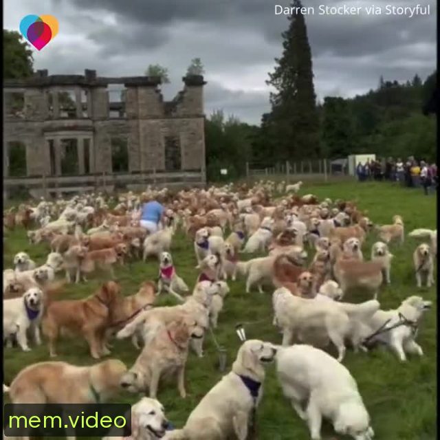 Кадр на 0:34