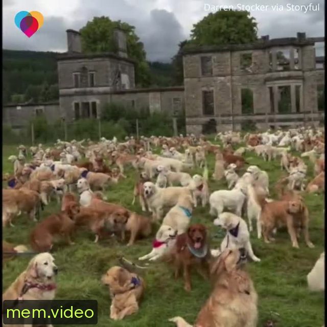 Кадр на 0:41