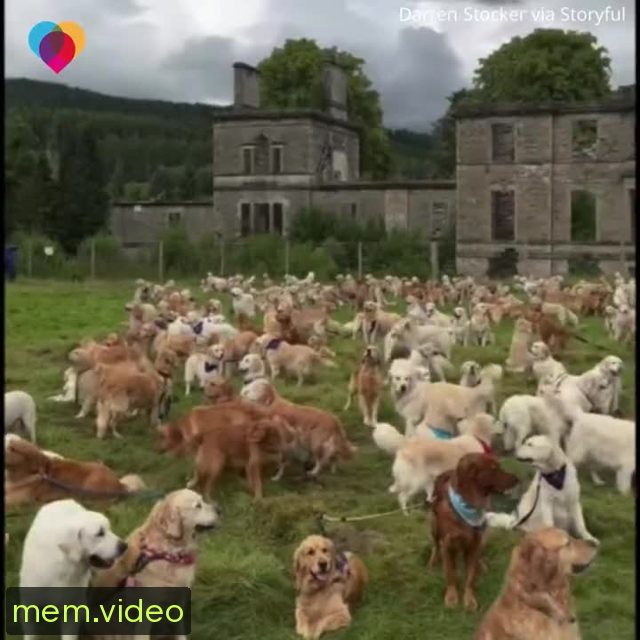 Кадр на 0:48
