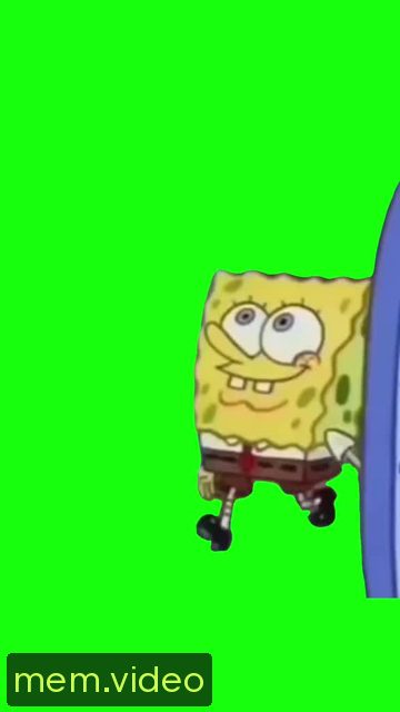 Кадр на 0:00