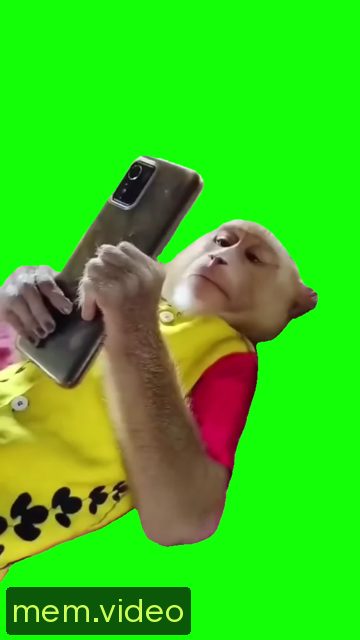 Кадр на 0:00