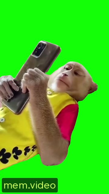 Кадр на 0:01