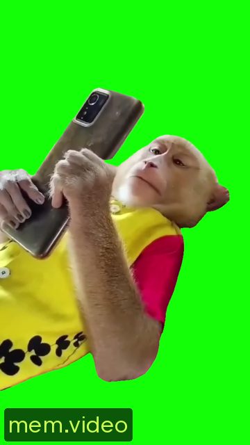 Кадр на 0:03