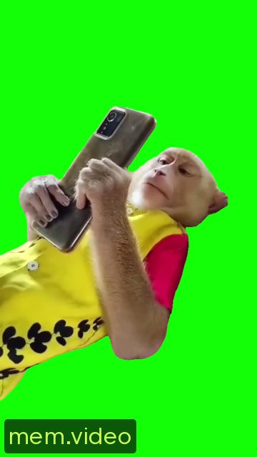 Кадр на 0:04