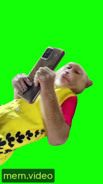 Кадр на 0:06
