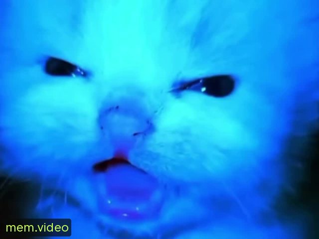 Кадр на 0:01