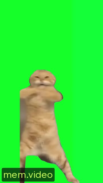 Кадр на 0:00