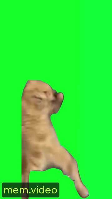 Кадр на 0:01