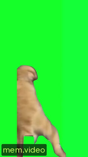 Кадр на 0:01