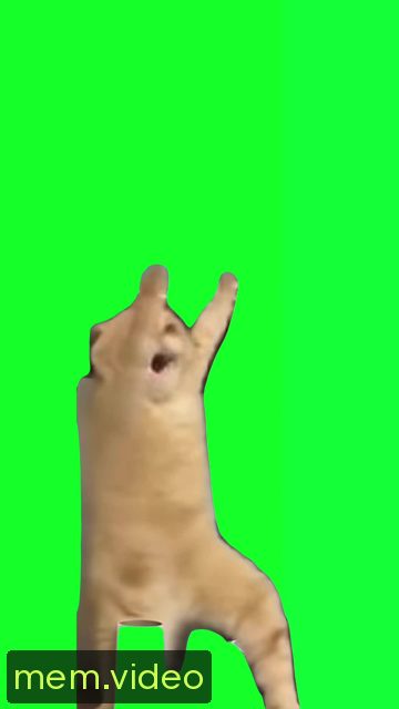 Кадр на 0:02