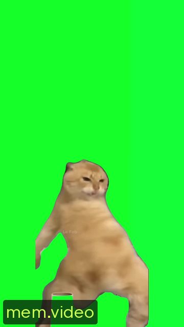Кадр на 0:03