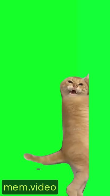 Кадр на 0:04