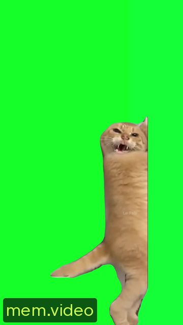Кадр на 0:05