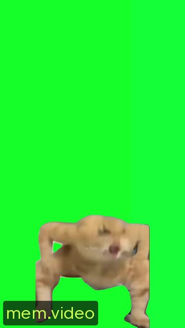 Кадр на 0:06