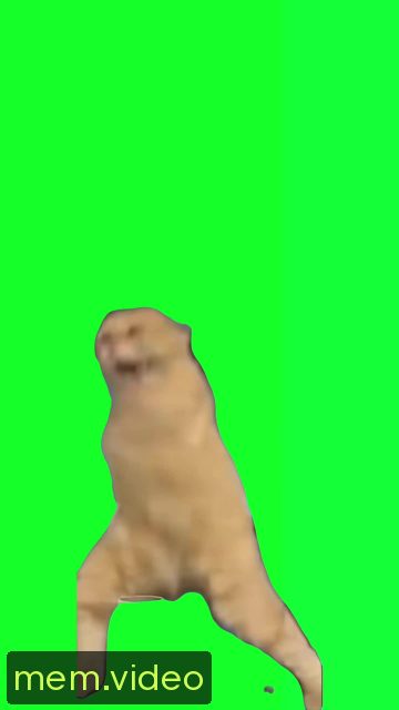 Кадр на 0:07
