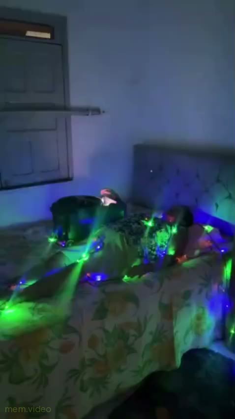 Кадр: Кошки в гирляндах лежат на кровати под Last Christmas
