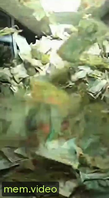 Кадр на 0:08