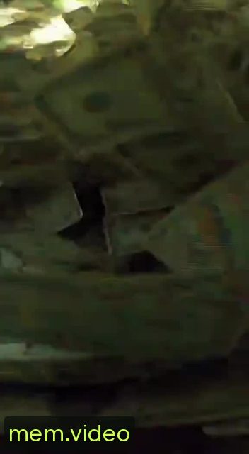 Кадр на 0:12