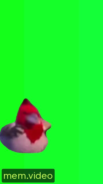 Кадр на 0:01
