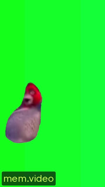 Кадр на 0:04