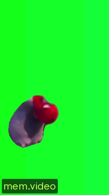 Кадр на 0:06