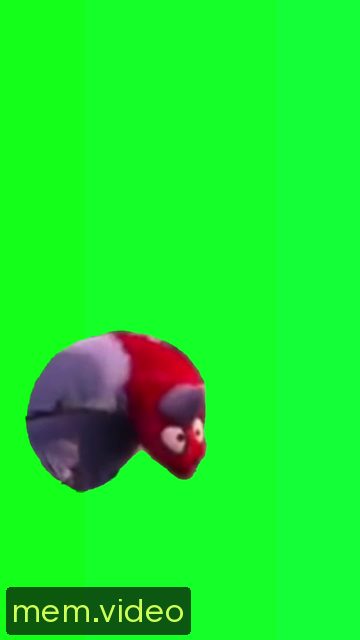 Кадр на 0:07