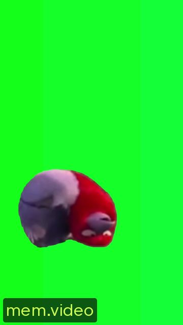 Кадр на 0:07