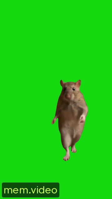 Кадр на 0:00