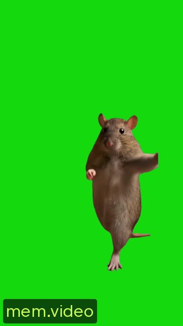 Кадр на 0:04