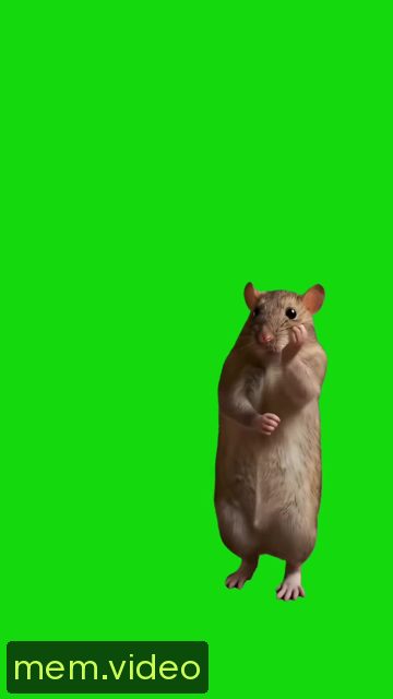 Кадр на 0:08