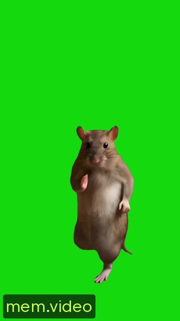 Кадр на 0:11
