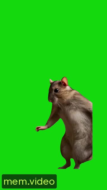 Кадр на 0:18