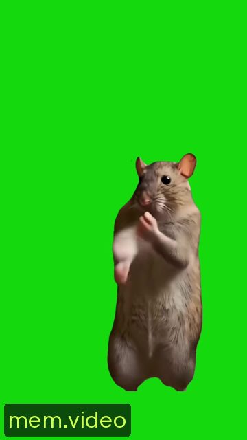 Кадр на 0:25