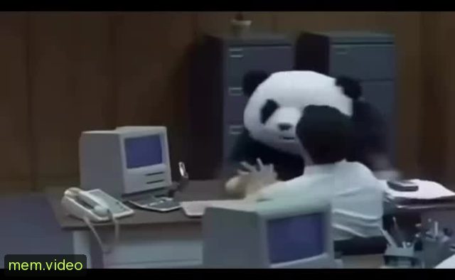 Кадр на 0:00