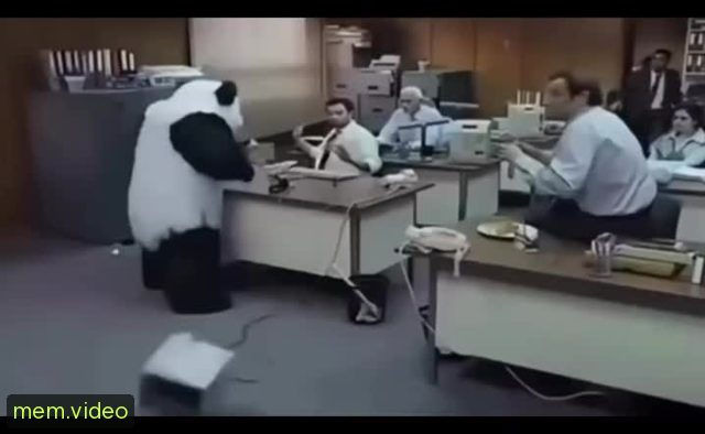 Кадр на 0:03