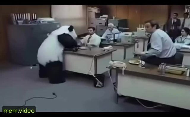 Кадр на 0:03