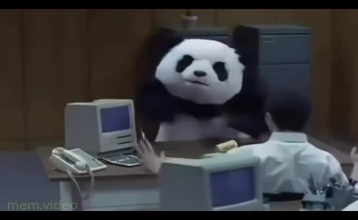 Кадр: Панда крушит всё вокруг — Never say no to panda