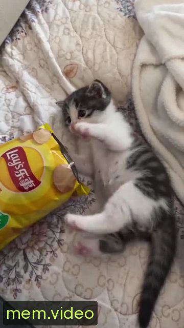Кадр на 0:09