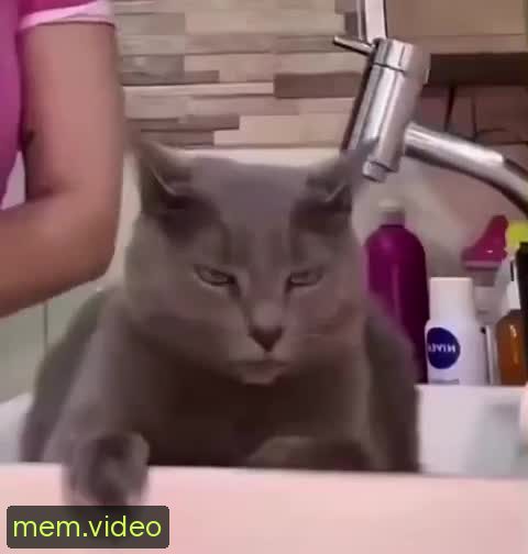 Кадр на 0:00