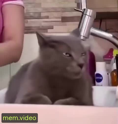 Кадр на 0:01