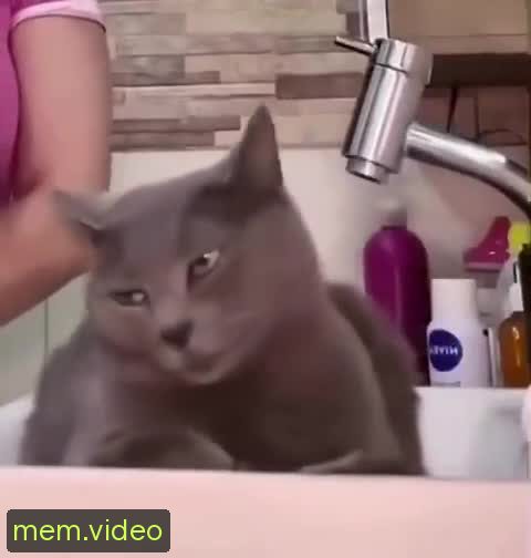 Кадр на 0:02