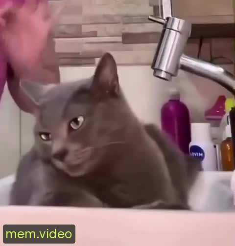 Кадр на 0:04
