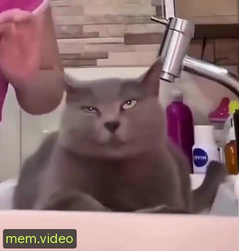 Кадр на 0:05