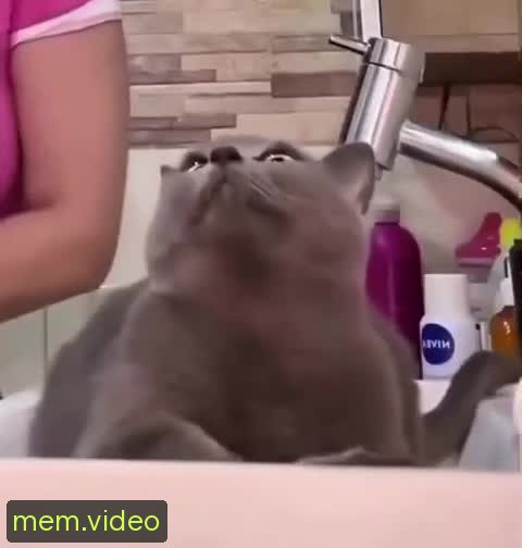 Кадр на 0:07