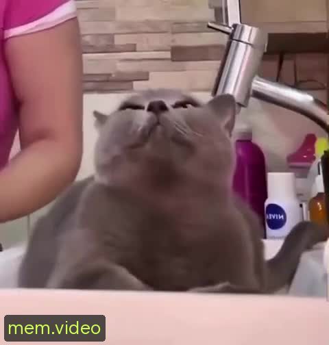 Кадр на 0:08