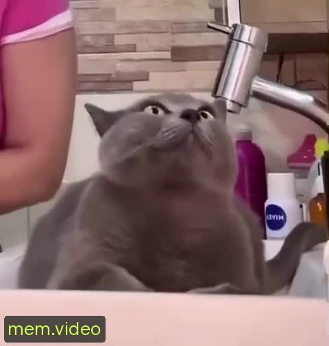 Кадр на 0:09