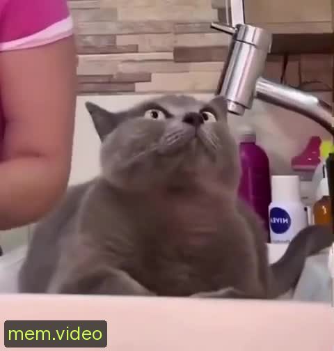 Кадр на 0:11