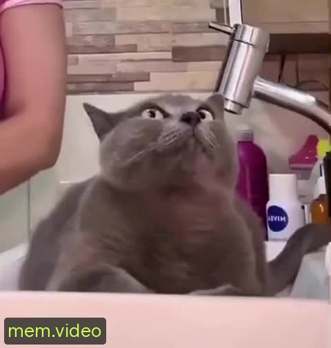 Кадр на 0:12