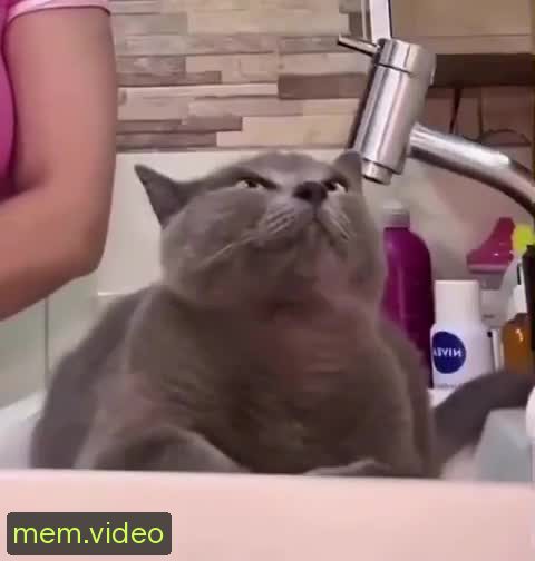 Кадр на 0:13