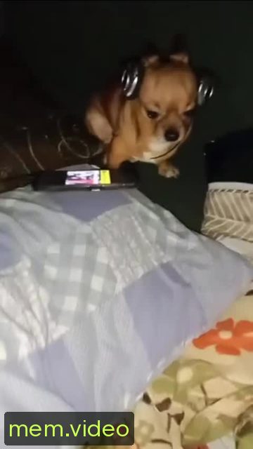 Кадр на 0:00